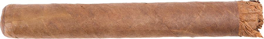 Gurkha Shaggy Vintage Robusto (2016)