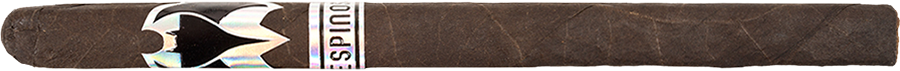 Murcielago Lancero