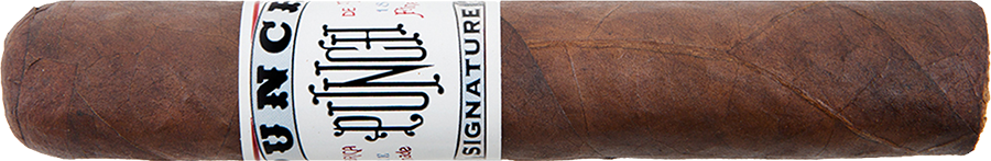 Punch Signature Robusto